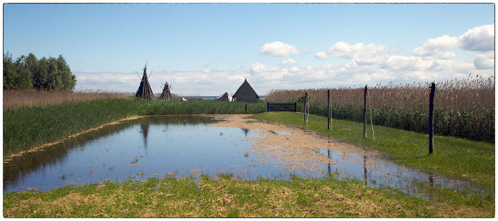 darss_boddenlandschaft